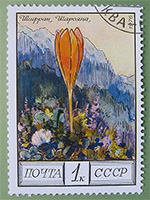 Шафран Шарояна :: Почтовая марка серии «Цветы гор Кавказа», 1976 год