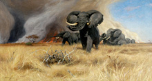 Elephants :: Wilhelm Kuhnert