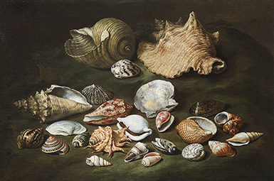 Натюрморт с морскими ракушками (Still Life With Shells) :: Паоло Порпора