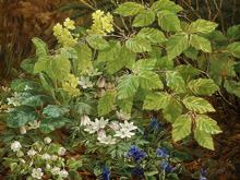 Цветы на лесной подстилке :: Антони Элеонора Кристенсен, 1888 год