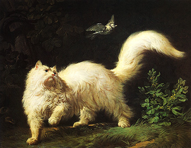 Белый ангорский кот и птичка :: Жан-Жак Башелье, 1761 год