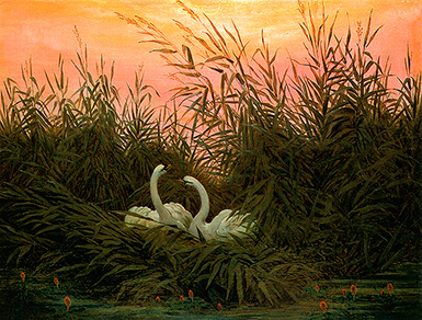 Лебеди в камышах в преддверии рассвета :: Фридрих Каспар Давид, 1832 год