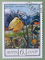 Рябчик жёлтый :: Почтовая марка серии «Цветы гор Кавказа», 1976 год