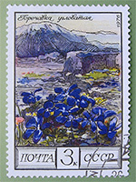 Горечавка угловатая :: Почтовая марка серии «Цветы гор Кавказа», 1976 год