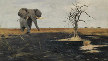 The Lone Elephant :: Wilhelm Kuhnert (Слоны, Кунерт)