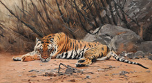 Отдыхающий тигр :: Wilhelm Kuhnert (Вильгельм Кунерт)