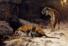 Тигры у ручья :: Wilhelm Kuhnert (Вильгельм Кунерт)