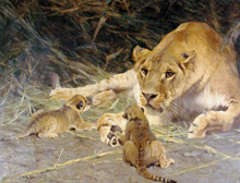 A Lioness and Her Cubs :: Wilhelm Kuhnert (Львы, Кунерт)