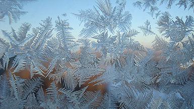 Серебряная парча из морозных узоров :: январь 2010 года, г. Курск