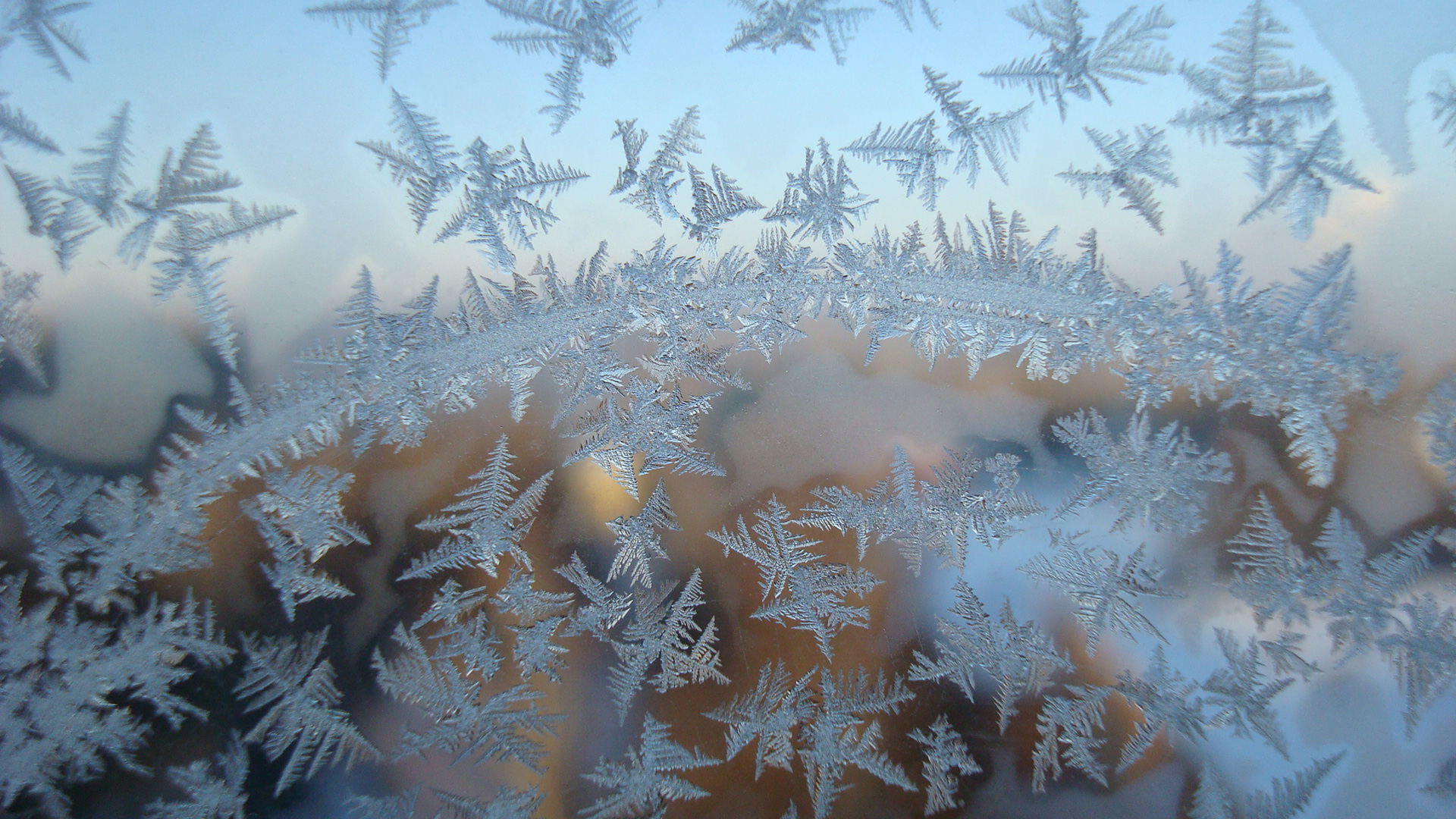 Фотоальбом «Морозные узоры на окнах (физика вокруг нас) | Фотоальбомы и рисунки