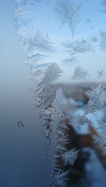 Морозные веточки (о морозных узорах и царапинах на стекле) :: январь 2010 года, г. Курск