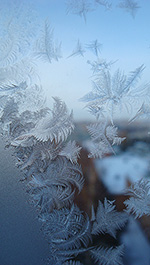 Морозные пёрышки (о морозных узорах и царапинах на стекле) :: январь 2010 года, г. Курск