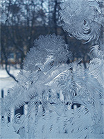 Ледяные пёрышки (о морозных узорах и царапинах на стекле) :: январь 2006 года, г. Курск