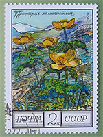 Прострел золотистый :: Почтовая марка серии «Цветы гор Кавказа», 1976 год