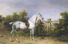 Серый конь (Grey Hunter Piccolo), Филипп Рейнегл