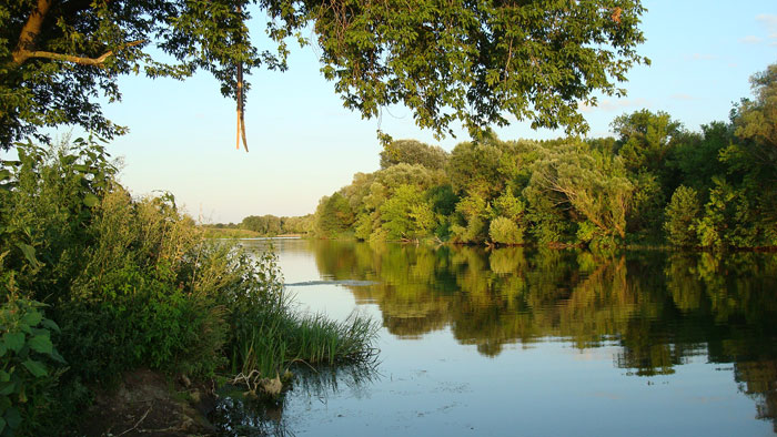 Летний фотоальбом: «Река Сейм: Ива» :: Отражения в воде
