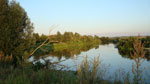 Излучина реки Сейм :: Пригороды Курска, август 2009 года