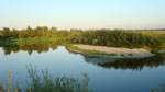 Река Сейм :: Маленький полуостров с песчаным пляжем :: Пригороды Курска, август 2009 года