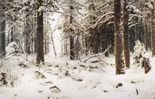 Зима :: Шишкин Иван Иванович, 1890 год