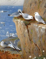 Чайки (Seagulls) :: Арчибальд Торберн