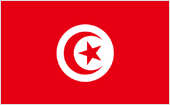 Государственный флаг Туниса