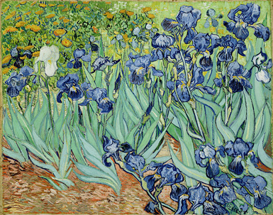 Ирисы (Irises) :: Винсент Ван Гог, май 1889 года